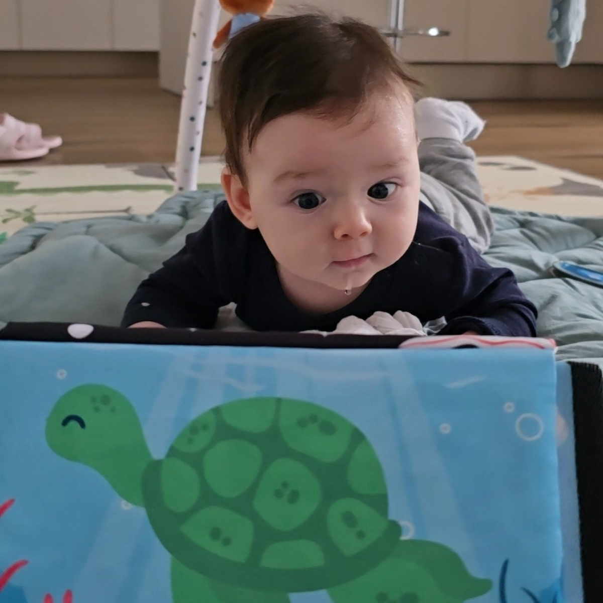 Zabawka sensoryczna do leżenia na brzuszku z piszczałką | 0–12 miesięcy